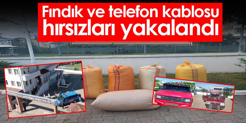 Ordu’da fındık ve telefon kablosu hırsızları yakalandı