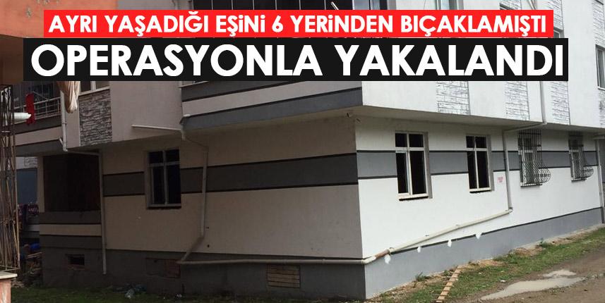 Ordu'da ayrı yaşadığı eşini 6 yerinden bıçaklamıştı! operasyonla yakalandı