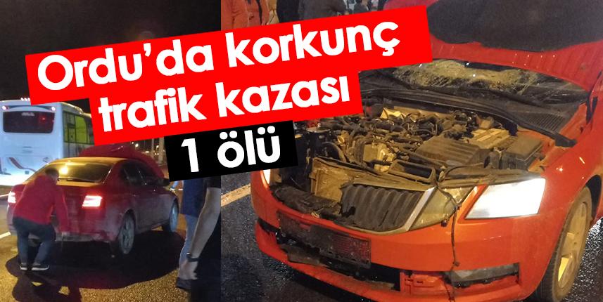 Ordu'da korkunç trafik kazası:1 ölü