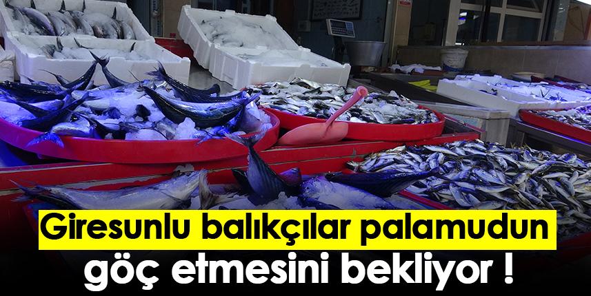 Giresunlu balıkçılar palamudun göç etmesini bekliyor