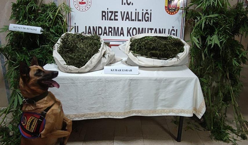 Rize'de 22 kilogram esrar ele geçirildi, 3 şüpheli yakalandı