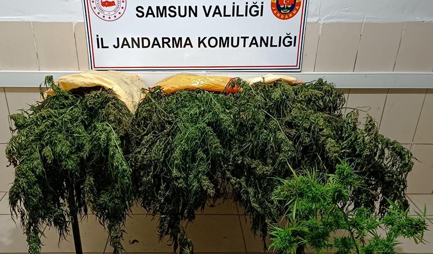 Samsun'da uyuşturucu operasyonlarında 65 şüpheli gözaltına alındı