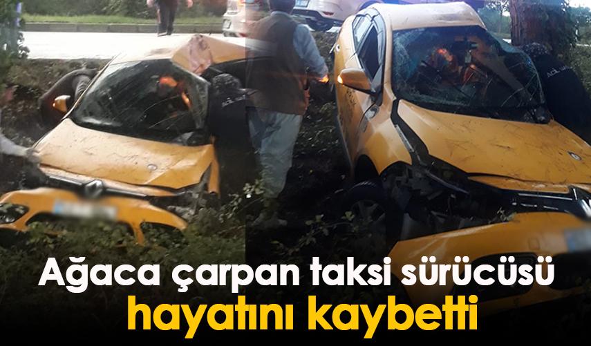 Samsun'da ağaca çarpan taksi sürücüsü hayatını kaybetti