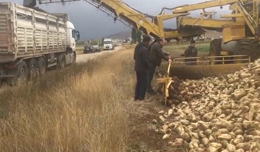 Bayburt’ta bu yıl hedeflenen şeker pancarı üretimi 100 bin ton