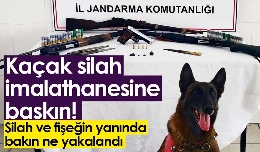 Gümüşhane'de kaçak silah imalathanesine baskın! Tarihi eser ele geçirildi