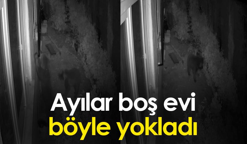 Rize'de ayılar boş evi böyle yokladı 25 Ekim 2022