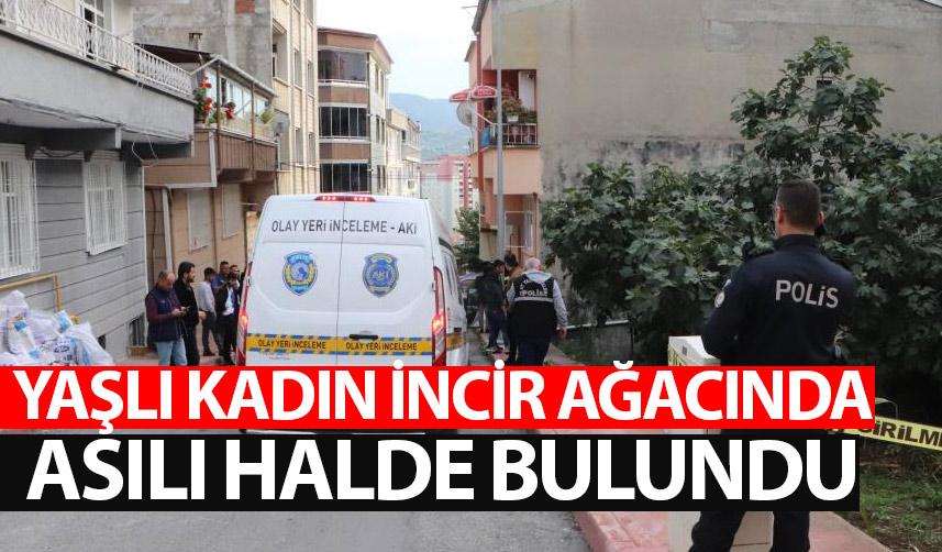 Samsun'da yaşlı kadın incir ağacına asılı halde bulundu