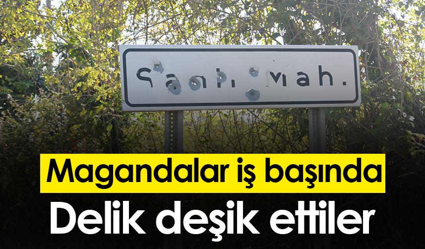 Ordu'da magandalar iş başında! Delik deşik ettiler 31 Ekim 2022