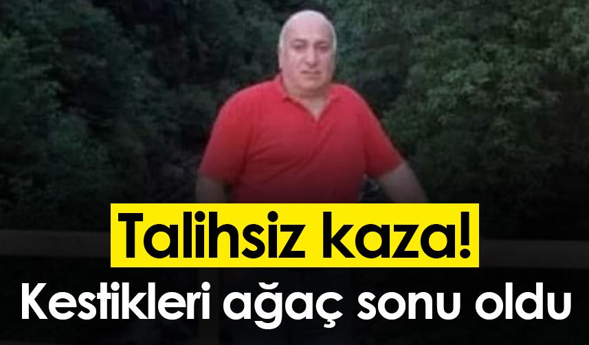 Ordu'da talihsiz kaza! Kestikleri ağaç sonu oldu