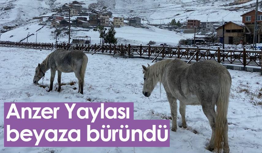 Rize'de Anzer Yaylası beyaza büründü 01 Kasım 2022