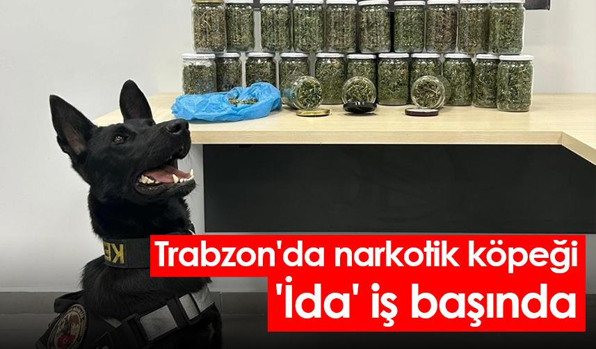 Trabzon'da narkotik köpeği 'İda' iş başında