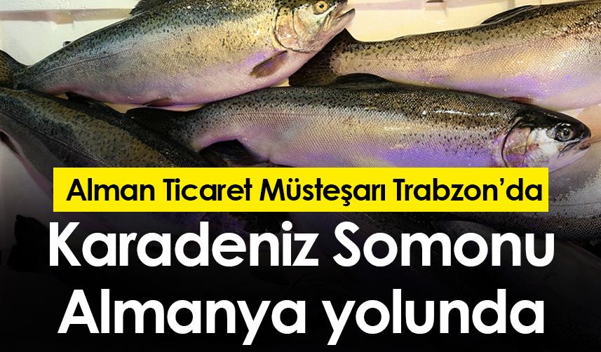 Karadeniz Somonu Almanya yolunda! Alman Ticaret müsteşarı Trabzon'da