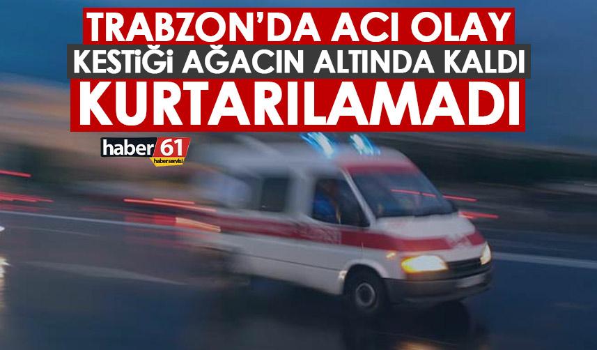 Trabzon’da Kestiği ağacın altında kaldı! Acı haber geldi