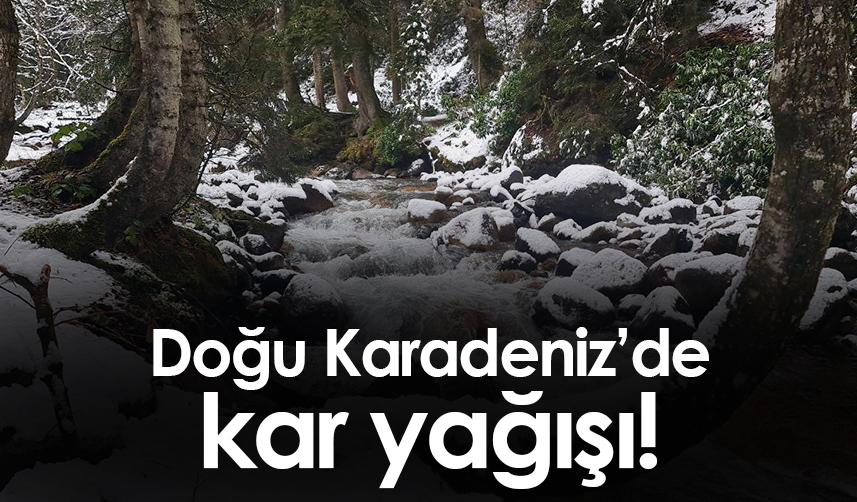 Rize'nin yüksek kesimlerine kar yağdı