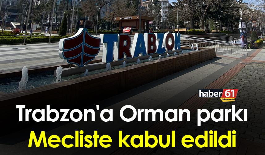 Trabzon'a Orman parkı yapılıyor