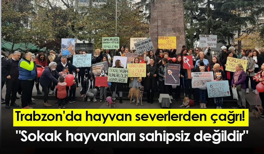 Trabzon'da hayvan severlerden çağrı! "Sokak hayvanları sahipsiz değildir"