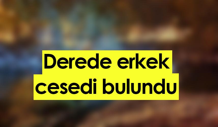 Giresun'da derede erkek cesedi bulundu