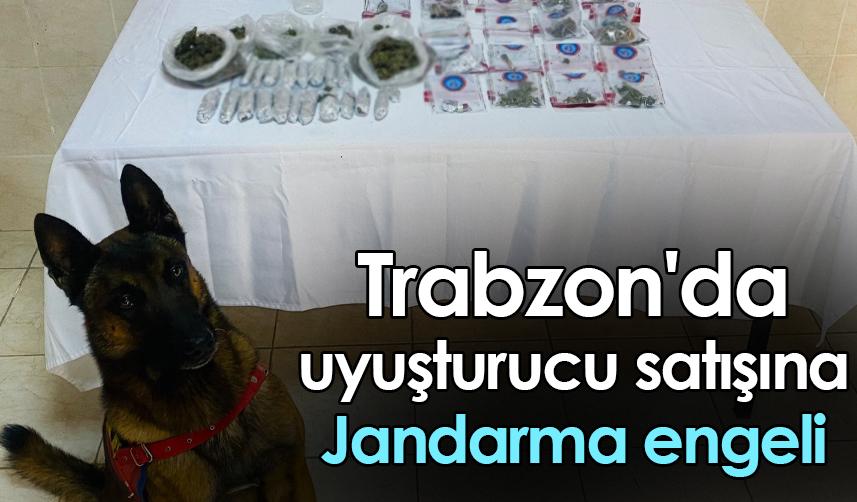 Trabzon'da uyuşturucu satışına Jandarma engeli