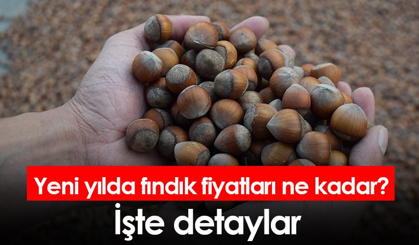 Yeni yılda fındık fiyatları ne kadar? İşte detaylar