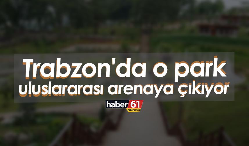 Trabzon'da o park uluslararası arenaya çıkıyor