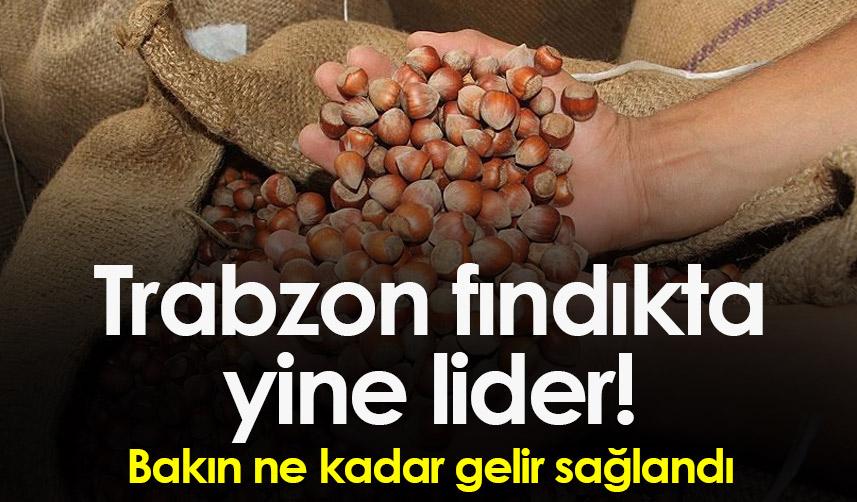 Trabzon fındıkta yine lider! Bakın ne kadar gelir sağlandı