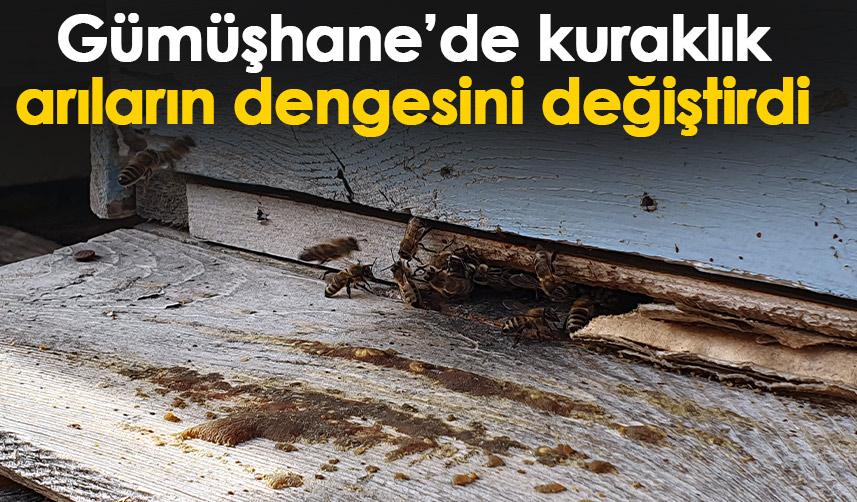 Gümüşhane’de kuraklık arıların dengesini değiştirdi