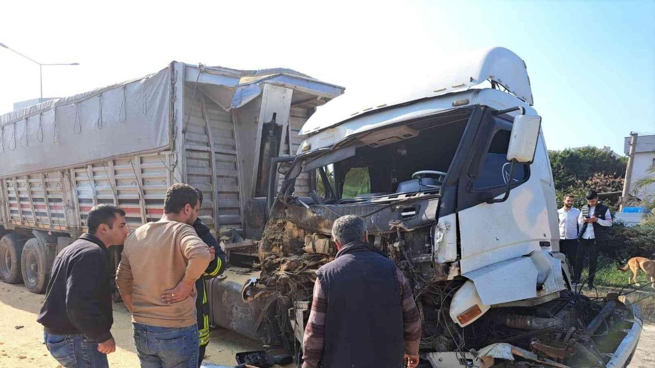 Köpeğe çarpmamak için ani firen yapınca tırlar çarpıştı