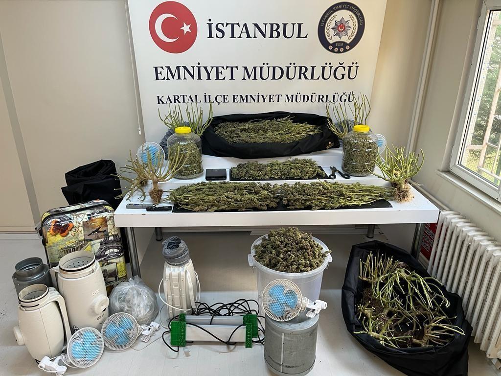 Kartal’da uyuşturucu serasına çevrilen evde 10 kilo marihuana ele geçirildi