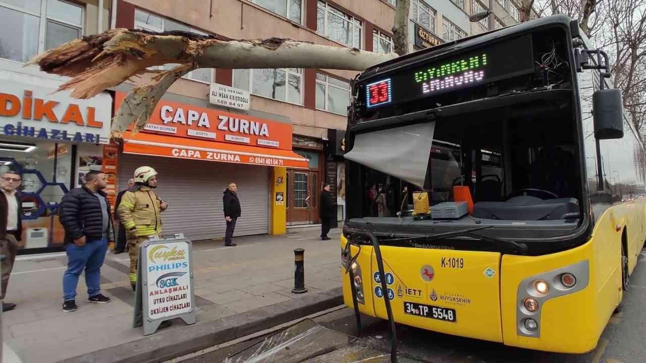 Fatih’te facianın eşiğinden dönüldü: İçinde yolcuların bulunduğu İETT otobüsü ağaca çarptı