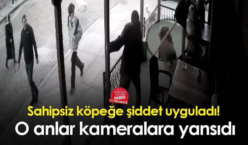 Rize'de bir kişi köpeğe şiddet uyguladı! O anlar kameralara yansıdı