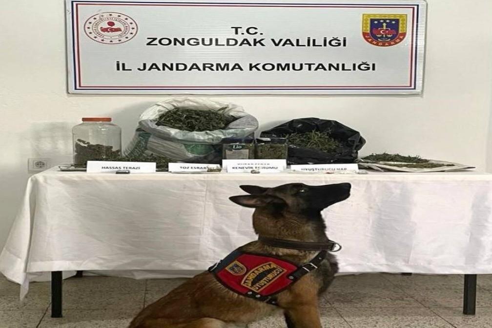 Ereğli’de uyuşturucu operasyonu:1 gözaltı