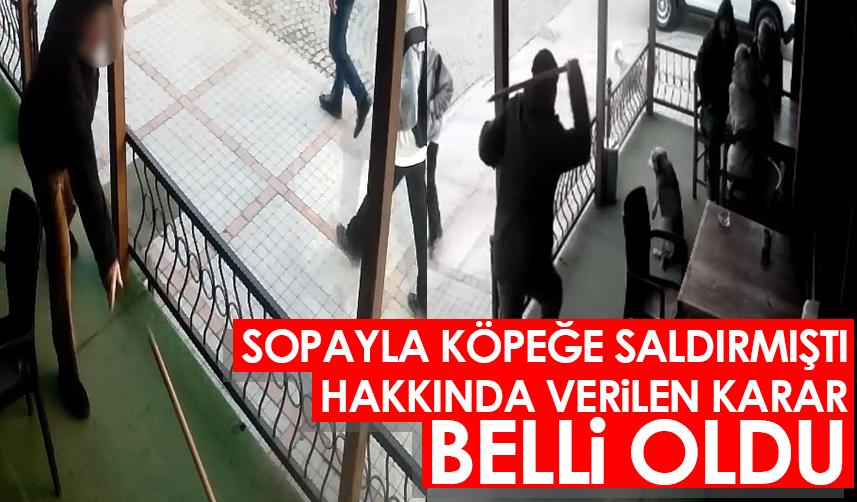 Rize'de sopayla köpeğe saldırmıştı! Hakkında verilen karar belli oldu