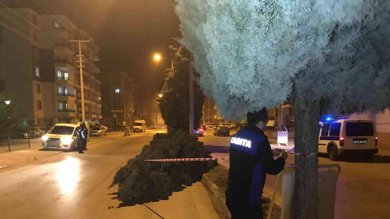 Konya’da şiddetli rüzgar ağaçları devirdi