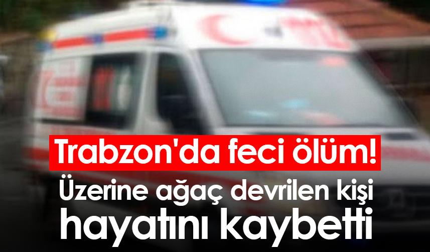 Trabzon'da üzerine ağaç devrilen kişi hayatını kaybetti.