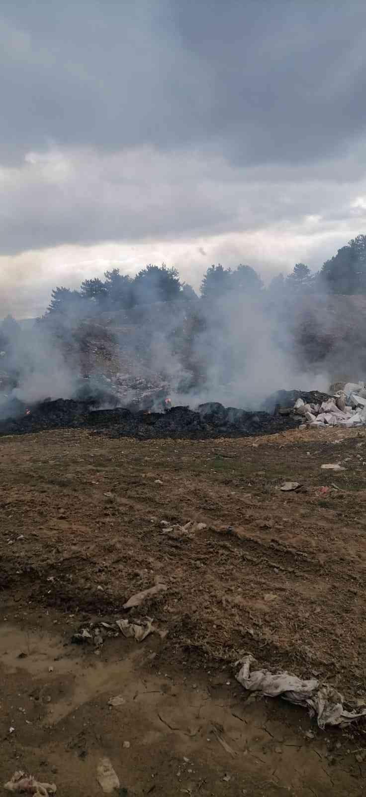 Ormanda yanan çöpler ekipleri harekete geçirdi