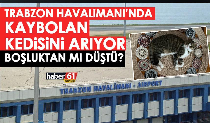 Trabzon Havalimanı’nda kaybolan kedisini arıyor! Bulana ödül verecek