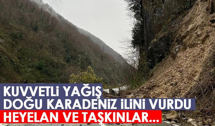 Artvin'de yağmur heyelanlara neden oldu!