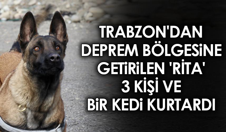 Trabzon'dan deprem bölgesine getirilen 'Rita' 3 kişi ve bir kedi kurtardı