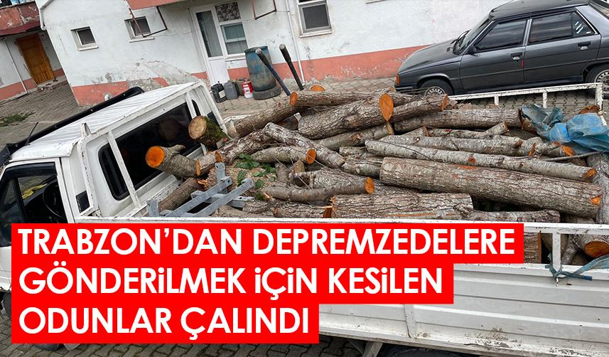 Trabzon'dan depremzedelere gönderilmek için kesilen odunları çaldılar