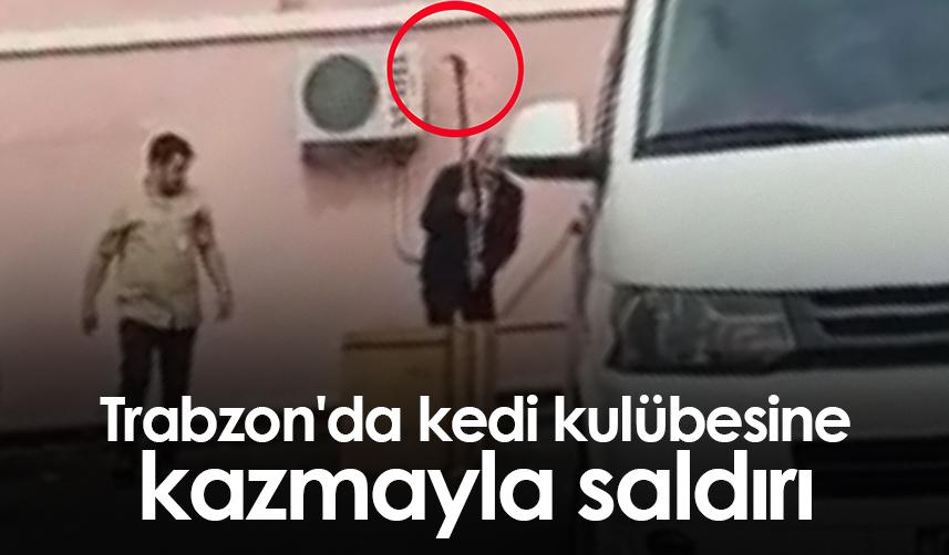 Trabzon'da kedi kulübesine kazmayla saldırı