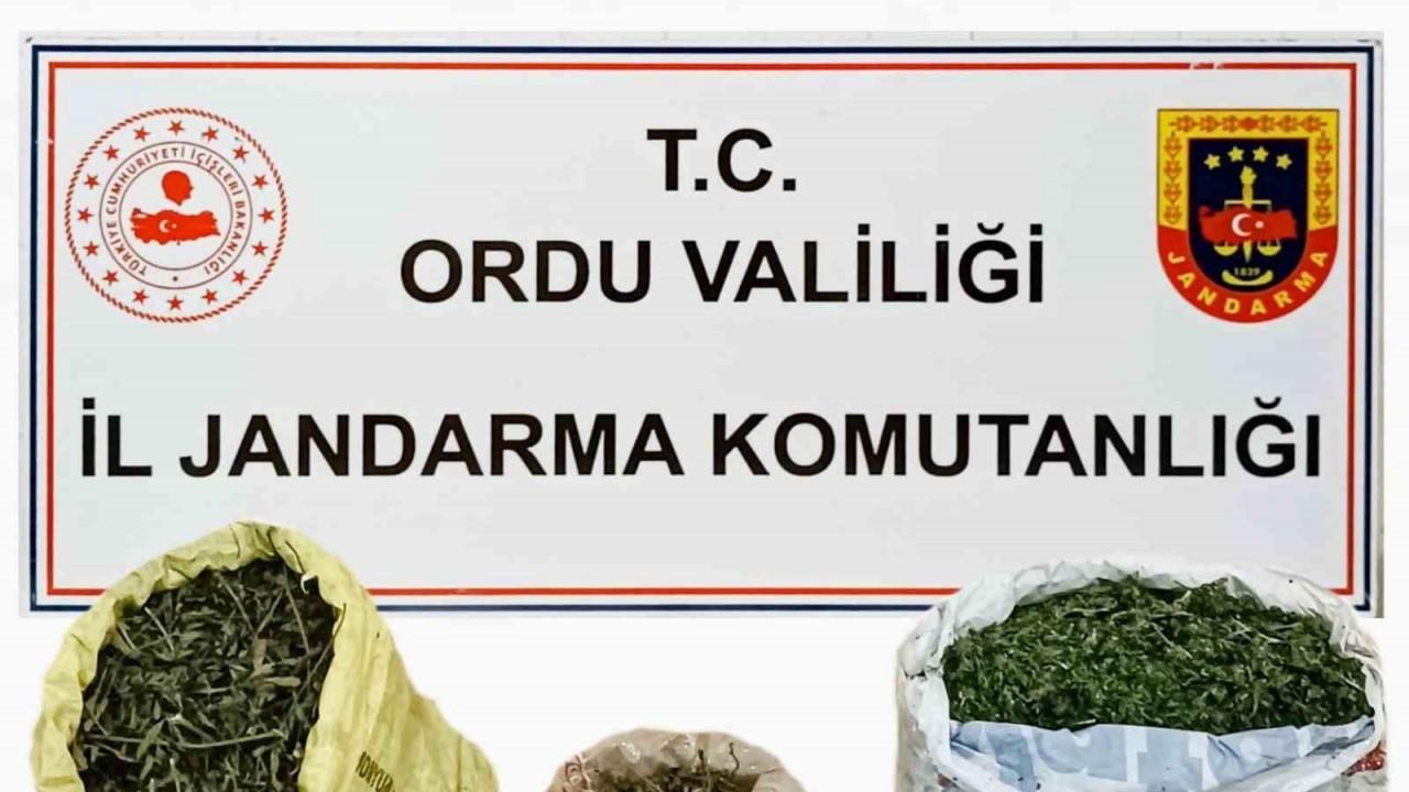 Ordu’da uyuşturucu ticareti yapan 1 kişi tutuklandı