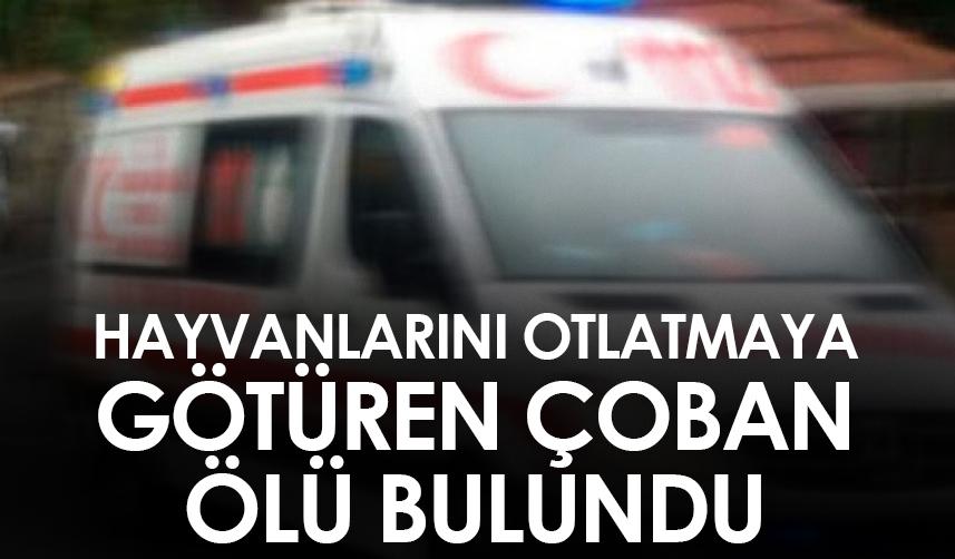 Rize'de hayvanlarını otlatmaya götüren çoban ölü bulundu