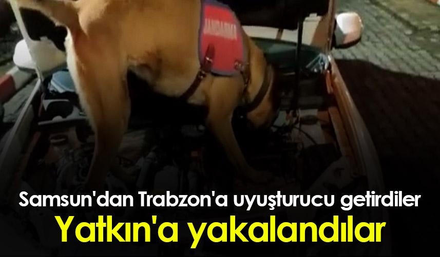 Samsun'dan Trabzon'a uyuşturucu getirdiler, Yatkın'a yakalandılar