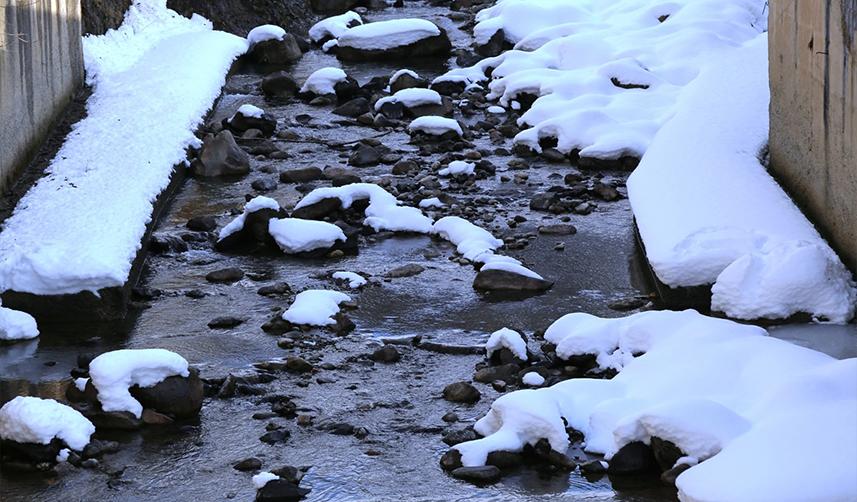 Yağmurun kesilmek bilmediği Rize'de kuraklık alarmı