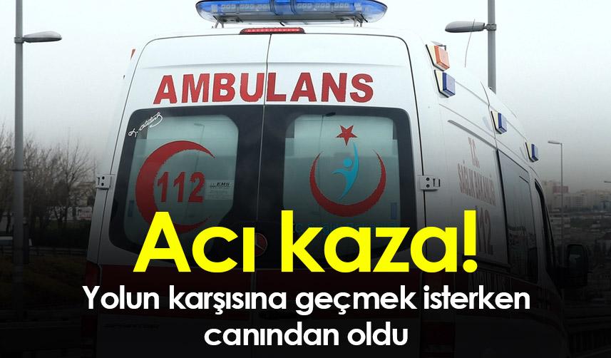 Ordu'da acı kaza! Yolun karşısına geçmek isterken canından oldu