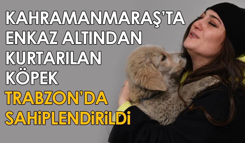 Enkaz altından kurtarılan köpek Trabzon'da sahiplendirildi