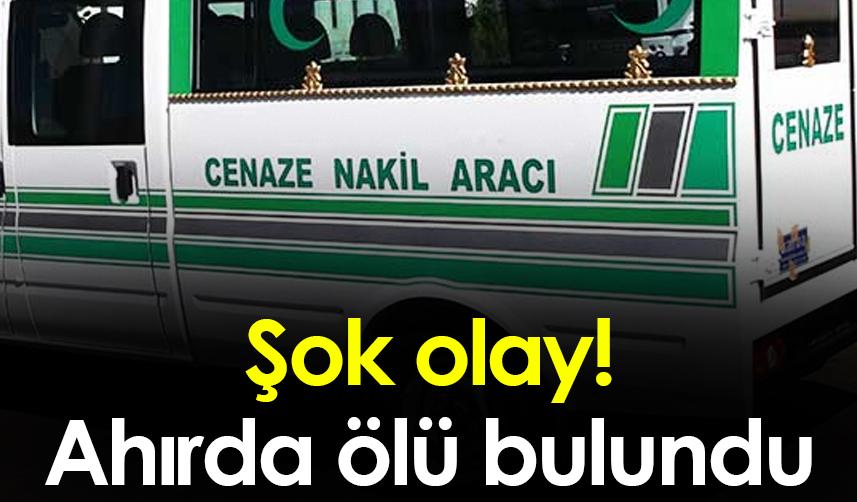 Samsun'da şok olay! Ahırda ölü bulundu