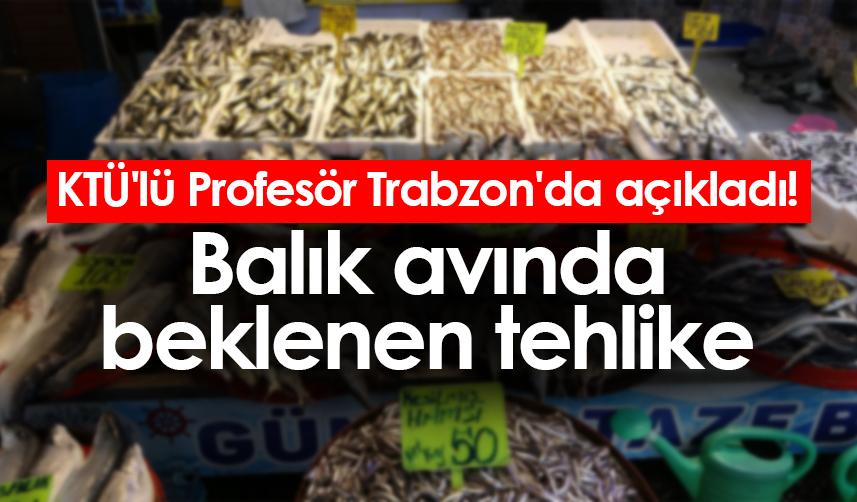 KTÜ'lü Profesör Trabzon'da açıkladı! Balık avında beklenen tehlike