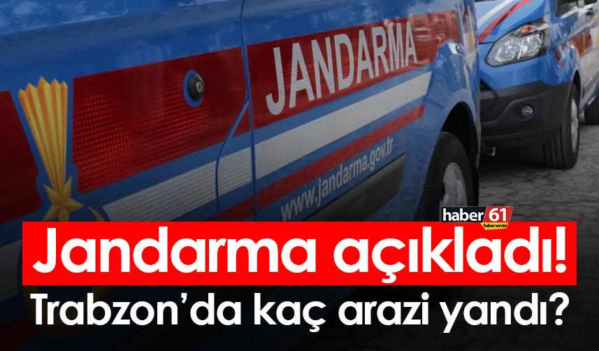 Jandarma açıkladı! Trabzon’da kaç arazi yandı?