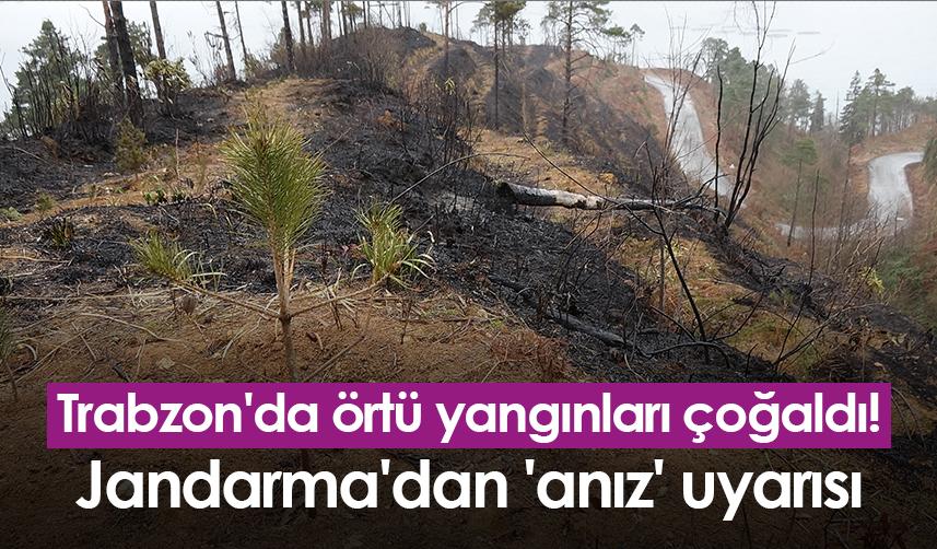 Trabzon'da örtü yangınları çoğaldı! Jandarma'dan 'anız' uyarısı